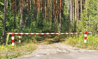 Запреты и ограничения посещение лесов введены в 116 районах Беларуси