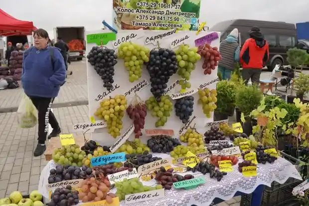 Ярмарка в Могилёве